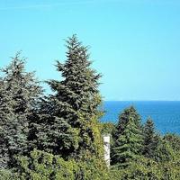 Апартаменты в Болгарии, Варненская область, Елените, 50 кв.м.