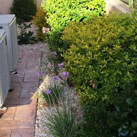 Апартаменты на Кипре, Лимасол, 100 кв.м.