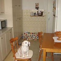 Таунхаус на Кипре, Лимасол, 314 кв.м.