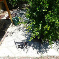 Villa in Republic of Cyprus, Lemesou, 140 sq.m.