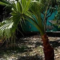 Townhouse in Republic of Cyprus, Lemesou, 105 sq.m.