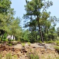 Земельный участок на Кипре, Лимасол, Никосия