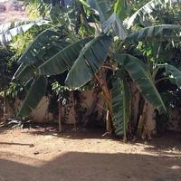 Апартаменты на Кипре, Лимасол, 120 кв.м.