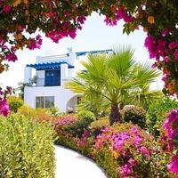 Вилла на Кипре, Пафос, 270 кв.м.