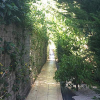 Вилла на Кипре, Пафос, 250 кв.м.