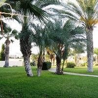 Townhouse in Republic of Cyprus, Eparchia Pafou, Nicosia, 90 sq.m.