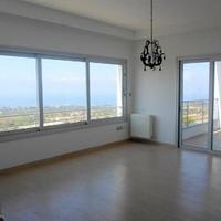 Вилла на Кипре, Пафос, Никосия, 450 кв.м.