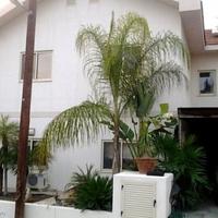 Вилла на Кипре, Лимасол, 140 кв.м.