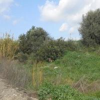 Land plot in Republic of Cyprus, Lemesou