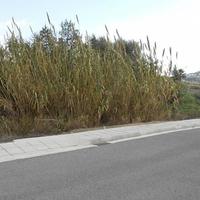 Land plot in Republic of Cyprus, Lemesou