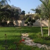 Вилла на Кипре, Лимасол, 350 кв.м.