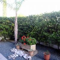 Apartment in Republic of Cyprus, Eparchia Pafou, Nicosia, 95 sq.m.