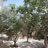 Вилла на Кипре, Пафос, Никосия, 125 кв.м.