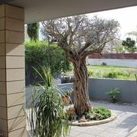 Вилла на Кипре, Пафос, Никосия, 380 кв.м.