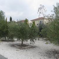 Вилла на Кипре, Пафос, Никосия, 160 кв.м.