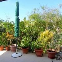 Townhouse in Republic of Cyprus, Eparchia Pafou, Nicosia, 145 sq.m.