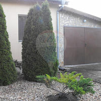 Дом в Болгарии, Варненская область, Елените, 150 кв.м.