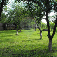 Дом в Болгарии, Варненская область, Елените, 150 кв.м.