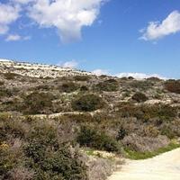 Земельный участок на Кипре, Лимасол