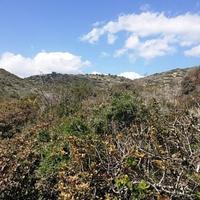 Земельный участок на Кипре, Лимасол