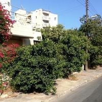 Земельный участок на Кипре, Лимасол