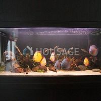 Вилла в Испании, Андалусия, 1500 кв.м.