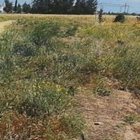 Land plot in Republic of Cyprus, Eparchia Larnakas, Larnaca