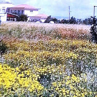 Land plot in Republic of Cyprus, Eparchia Larnakas, Larnaca