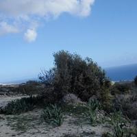 Land plot in Republic of Cyprus, Lemesou