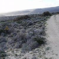 Земельный участок на Кипре, Лимасол