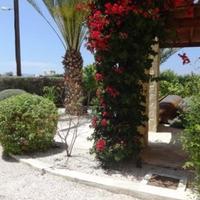 Villa in Republic of Cyprus, Eparchia Pafou, 148 sq.m.