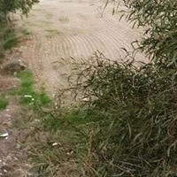 Земельный участок на Кипре, Ларнака