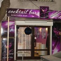 Другая коммерческая недвижимость в Болгарии, Варненская область, Елените, 65 кв.м.