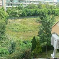 Квартира в Болгарии, Солнечный Берег, 48 кв.м.