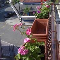 Квартира в Болгарии, Бургасская область, Елените, 47 кв.м.