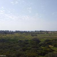 Flat at the first line of the sea / lake in Republic of Cyprus, Eparchia Pafou, 80 sq.m.