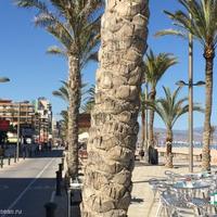 Apartment at the first line of the sea / lake in Spain, Comunitat Valenciana, Alicante, 90 sq.m.