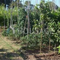 Villa in Spain, Catalunya, Vilanova i la Geltru, 300 sq.m.