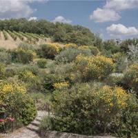 House in Italy, Toscana, Pienza, 1850 sq.m.