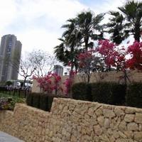 Flat in Spain, Comunitat Valenciana, Alicante, 80 sq.m.