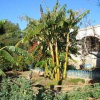 Вилла в Испании, Валенсия, Аликанте, 290 кв.м.