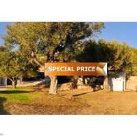 Вилла в Испании, Валенсия, Аликанте, 14000 кв.м.