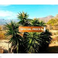 Вилла в Испании, Валенсия, Аликанте, 14000 кв.м.