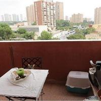 Flat in Spain, Comunitat Valenciana, Alicante, 100 sq.m.