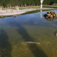 Вилла в Испании, Валенсия, Аликанте