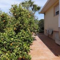 Villa in Spain, Comunitat Valenciana, Alicante, 290 sq.m.