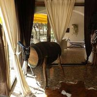 Villa in Spain, Comunitat Valenciana, Alicante, 223 sq.m.