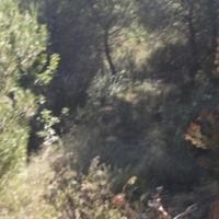 Земельный участок в Испании, Валенсия, Аликанте