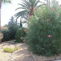 Вилла в Испании, Валенсия, Аликанте, 140 кв.м.