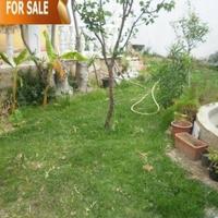 Villa in Spain, Comunitat Valenciana, Alicante, 340 sq.m.